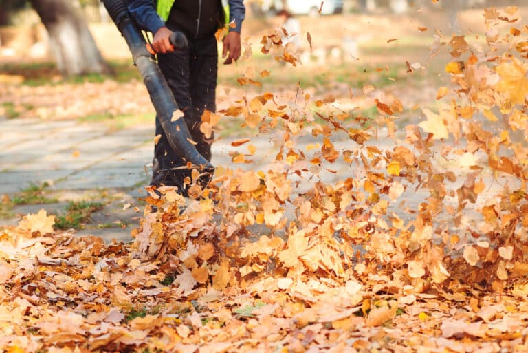 Worker in uniform is cleaning falling leaves on city street in autumn