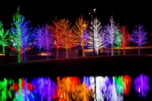 Colorful Light Display / Beautiful Christmas / Holiday light display with dozens of trees covered with colored lights reflecting on water in a large city park.